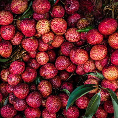 offers-6